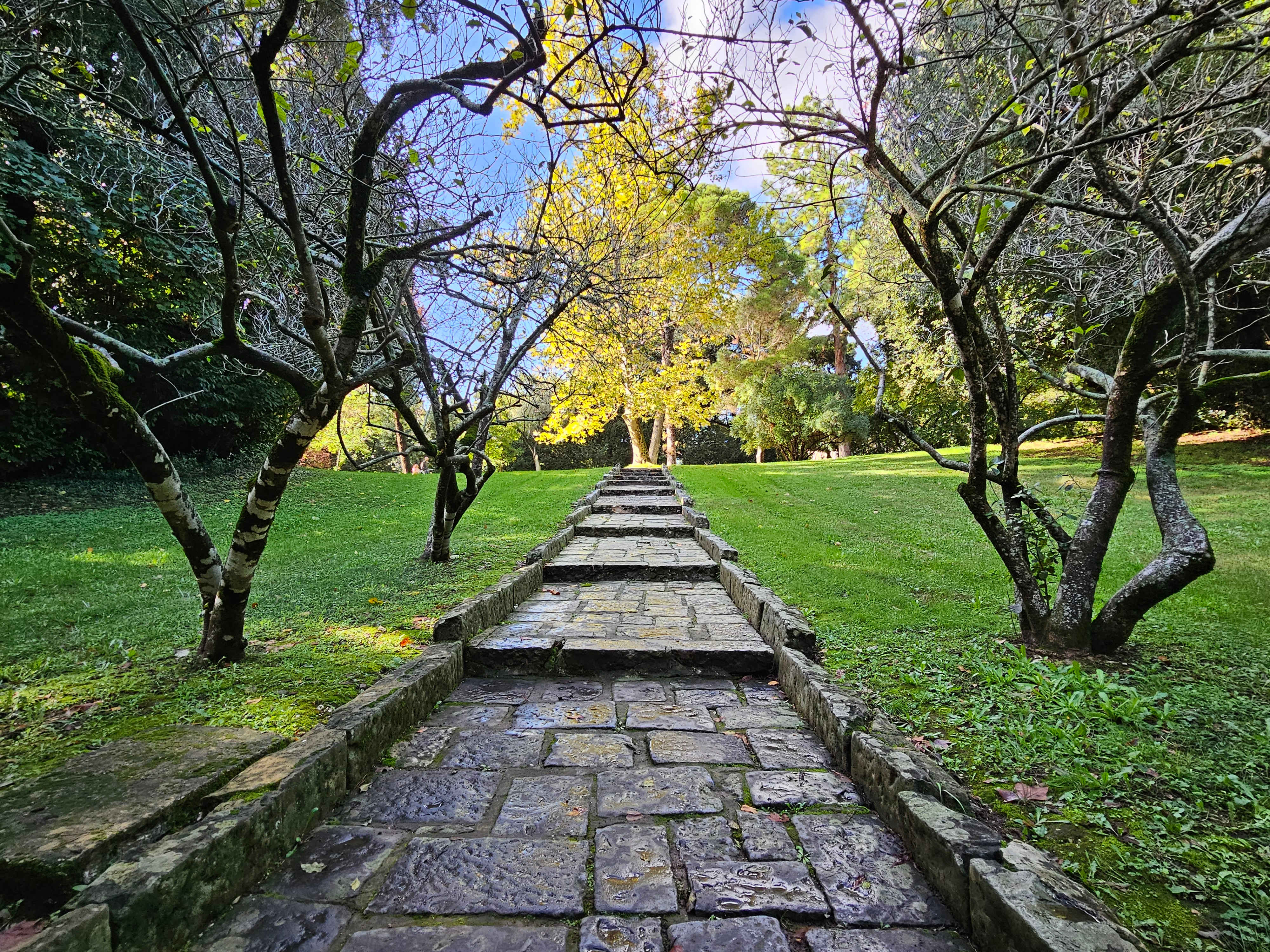 English Garden
